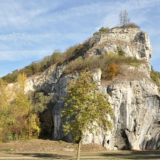 Ganztagesexkursion vom 21.10.17: Der Isteiner Klotz – Landschaftsentwicklung am Oberrhein